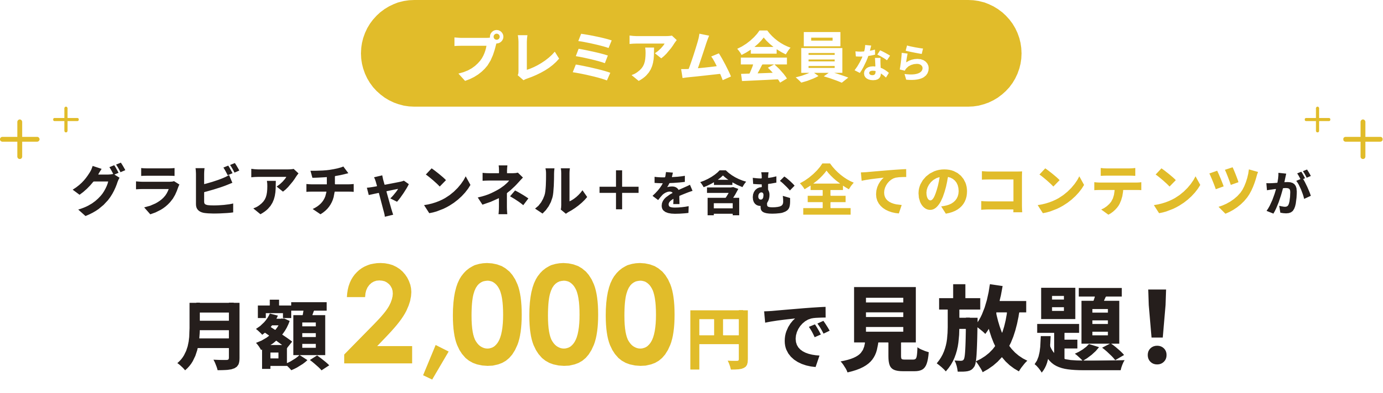 月額2,000円でコンテンツ見放題！